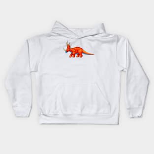 Styracosaurus Kids Hoodie